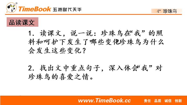 部编版五年级语文上册珍珠鸟课件第5页