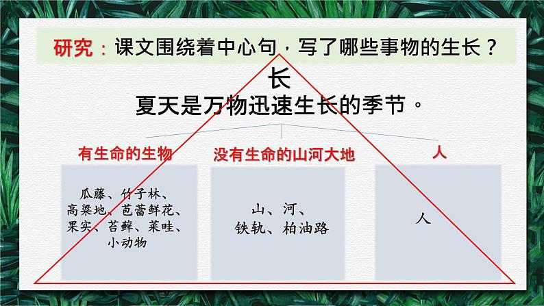 六上 16 夏天里的成长 课件05