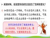 六上习作：变形记 课件