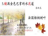 三上5.铺满金色巴掌的水泥道 课件