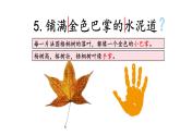 三上5《铺满金色巴掌的水泥道》课件