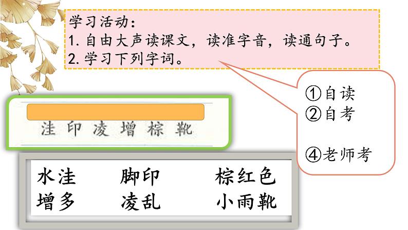 三上5《铺满金色巴掌的水泥道》课件第6页