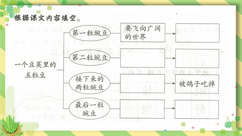 四上 5 一个豆荚里的五粒豆 课件08