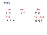 四上 6 夜间飞行的秘密 课件