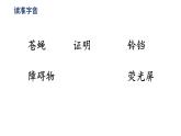 四上 6 夜间飞行的秘密 课件
