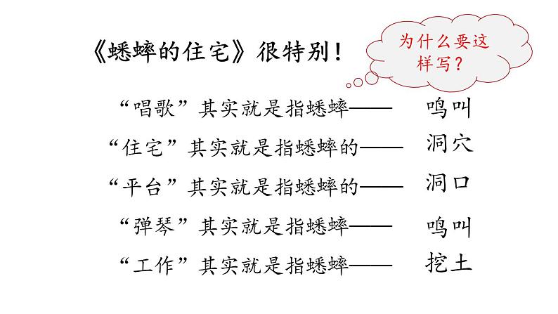 四上11.蟋蟀的住宅 课件第3页