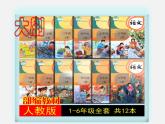 四上第六单元教材解读课件