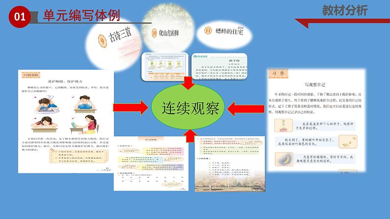 四上第三单元教材解读课件第5页