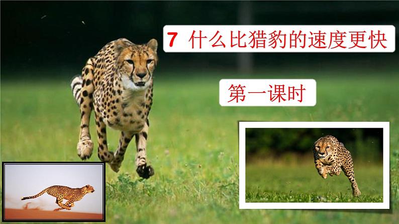 五上《 7.什么比猎豹的速度更快》第一课时课件第2页