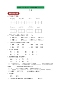 小学语文人教部编版六年级上册17 盼精品当堂检测题