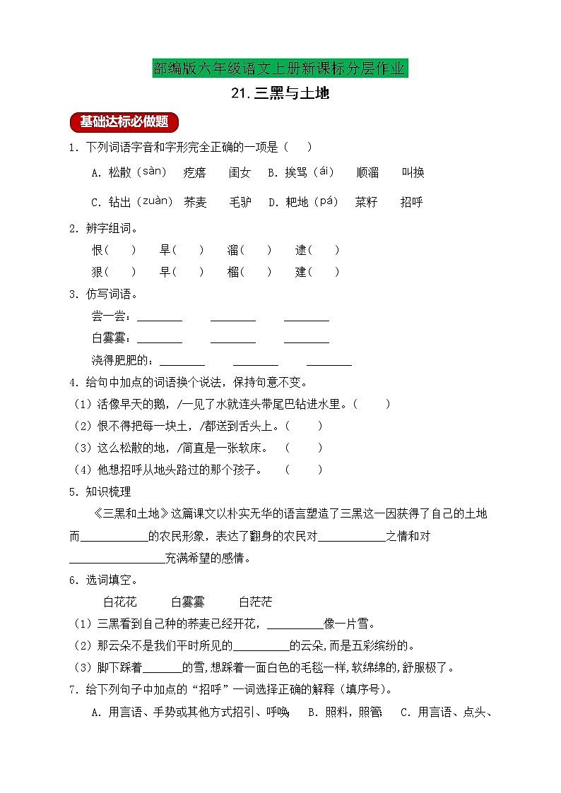 【新课标】统编版六年级语文上册分层作业设计-21.三黑与土地 （含答案）01