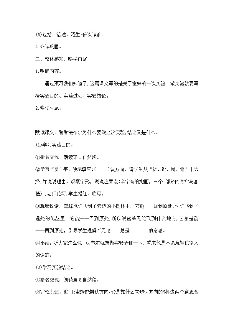 14.《蜜蜂》（教案）部编版语文三年级下册03