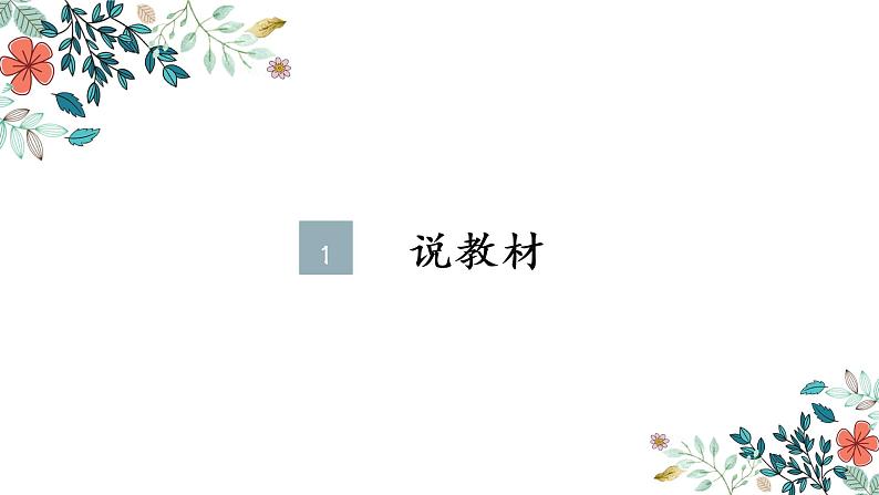 17.《松鼠》说课第3页