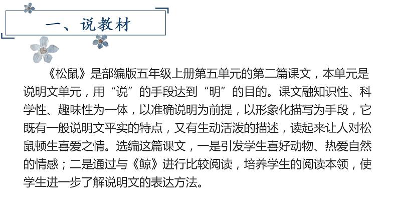 17.《松鼠》说课第4页