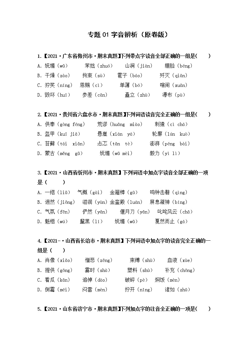 专题01字音辨析（原卷版）第1页