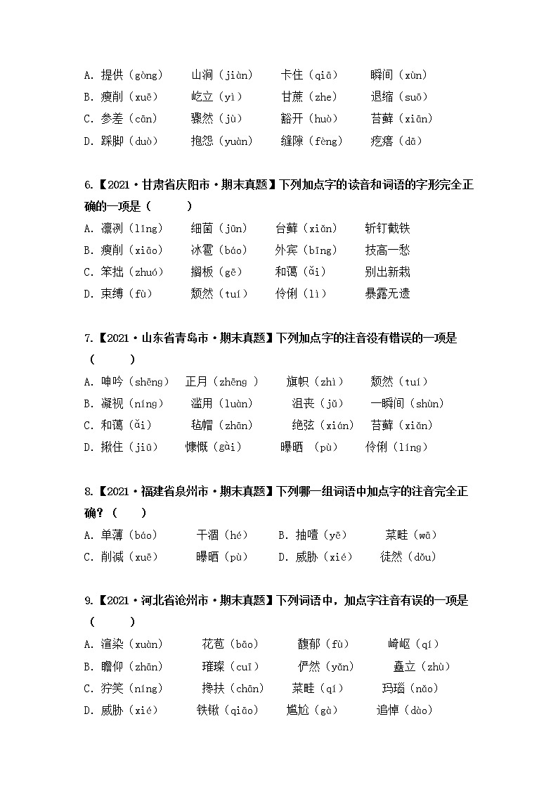 专题01字音辨析（原卷版）第2页