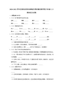 2020-2021学年甘肃省庆阳市西峰区黄官寨实验学校六年级（上）期末语文试卷