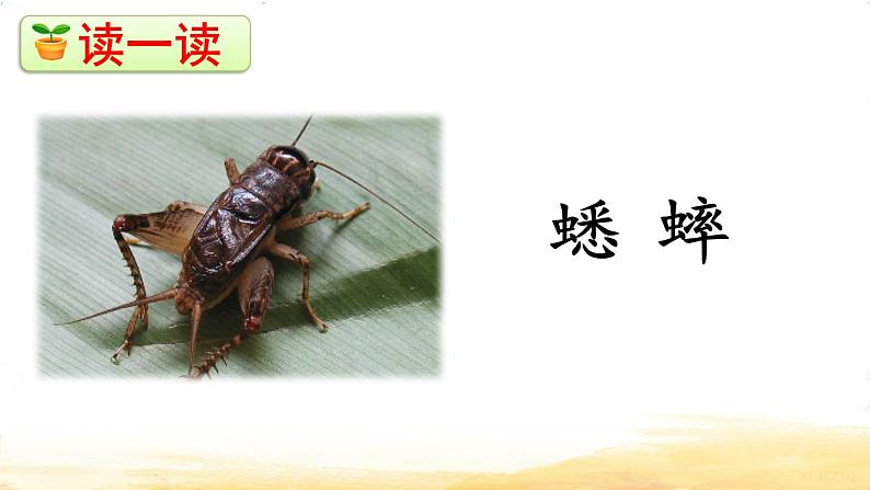 07 听听，秋的声音PPT+素材06