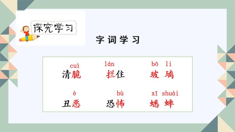 人教版六年级下册第五单元——第十六课《表里的生物》【PPT+教案】05