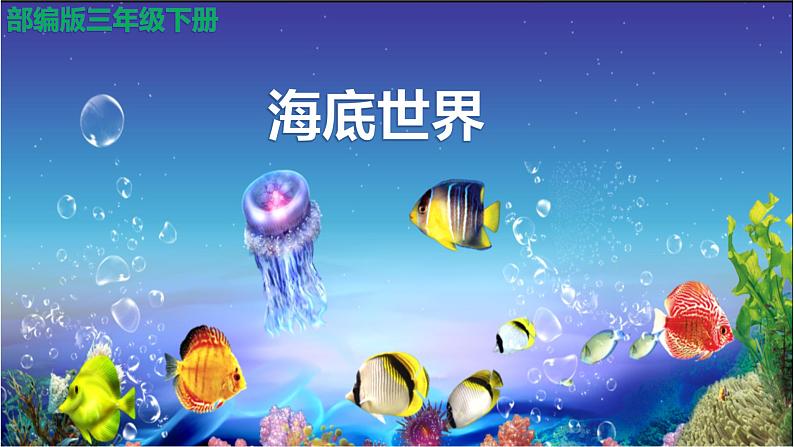 《海底世界》公开课一等奖第1页