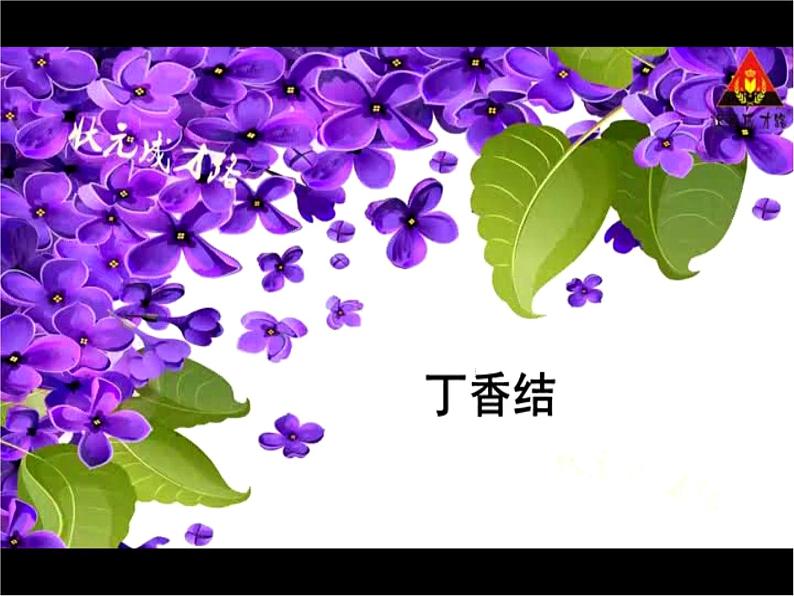 2《丁香结》第1课时 课件+教案+视频素材08