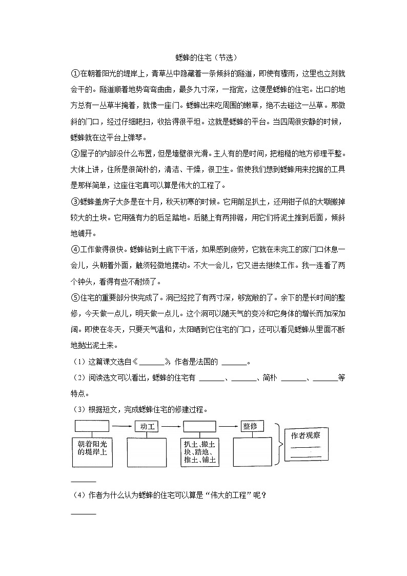 2021-2022学年浙江省金华市金东区四年级（上）期末语文试卷03