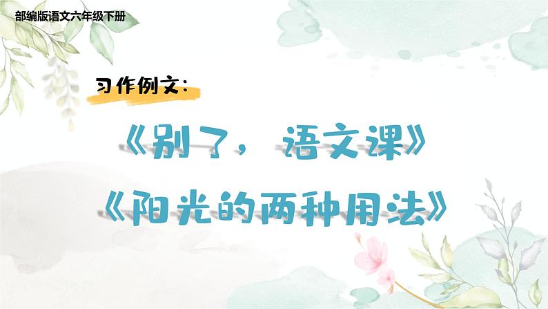 语文部编版 六年级下册 第三单元 习作例文 PPT课件01