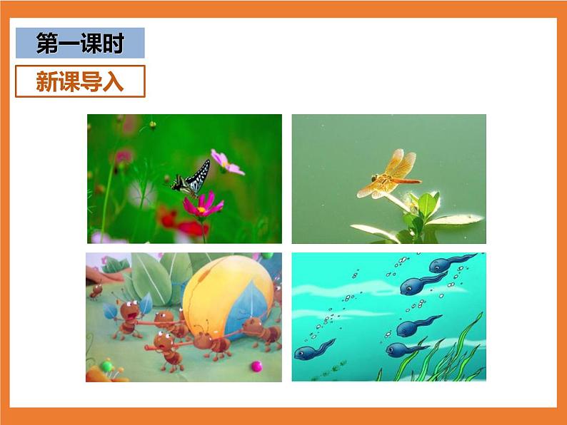 统编版1下语文 第5单元 识字5 动物儿歌 课件+素材（送教案+练习）03