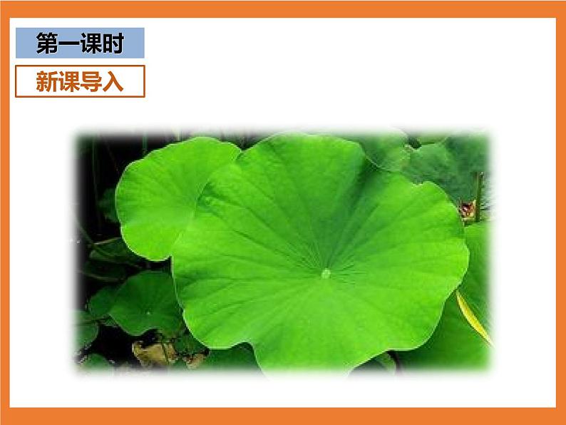 统编版1下语文 12《荷叶圆圆》课件+素材（送教案+练习）03