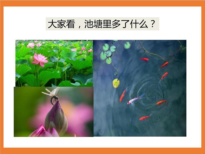 统编版1下语文 12《荷叶圆圆》课件+素材（送教案+练习）04