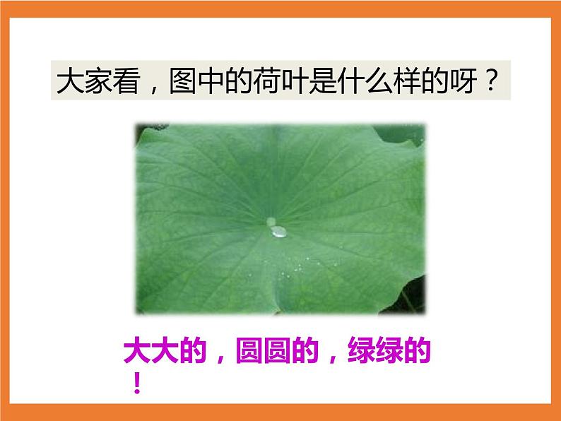 统编版1下语文 12《荷叶圆圆》课件+素材（送教案+练习）06