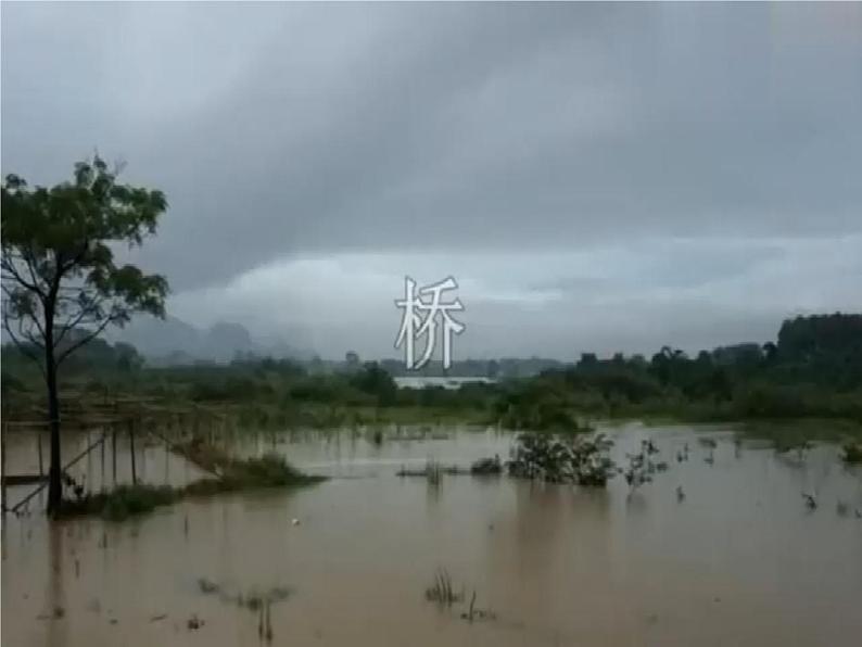 13.《桥》第1课时课件+教案+视频素材05