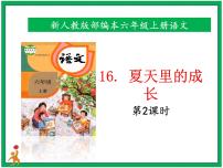 人教部编版六年级上册16 夏天里的成长完美版ppt课件