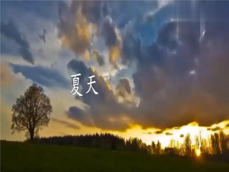 16.《夏天里的成长》第1课时 课件+教案+视频素材05