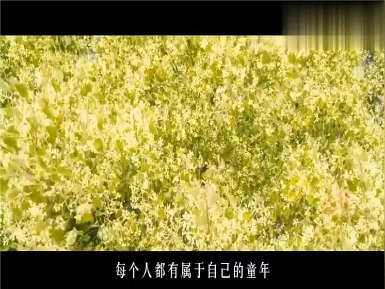 第四单元《快乐读书吧：笑与泪，经历与成长》教案第4页