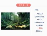 部编版语文《祖先的摇篮》PPT课件