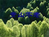 六上 20 青山不老 课件