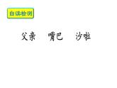 三上 15 搭船的鸟 课件