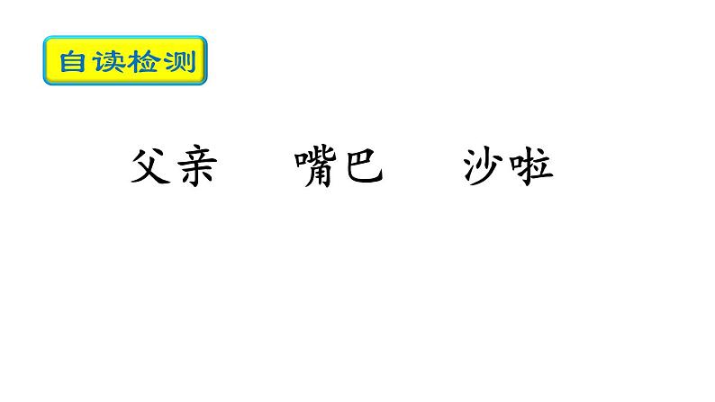 三上 15 搭船的鸟 课件第5页