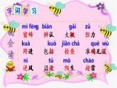 三下 14 蜜蜂 课件