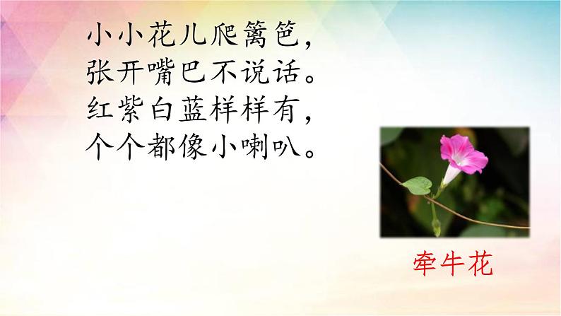 三下 13 花钟 课件第2页