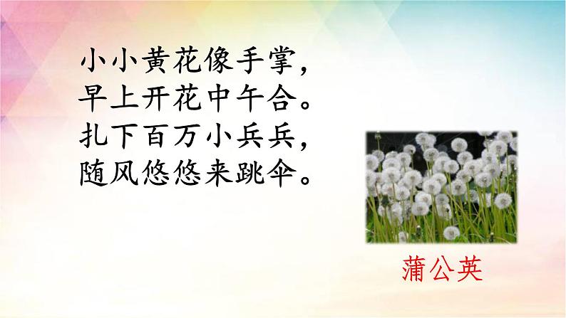 三下 13 花钟 课件第3页