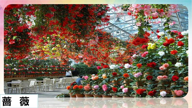 三下 13 花钟 课件第6页