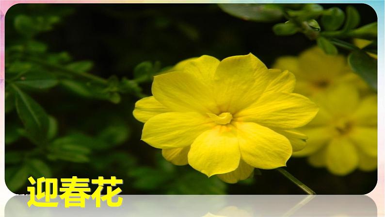 三下 13 花钟 课件第8页