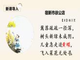 四上 8 蝴蝶的家 课件