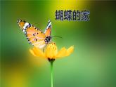 四上 8 蝴蝶的家 课件