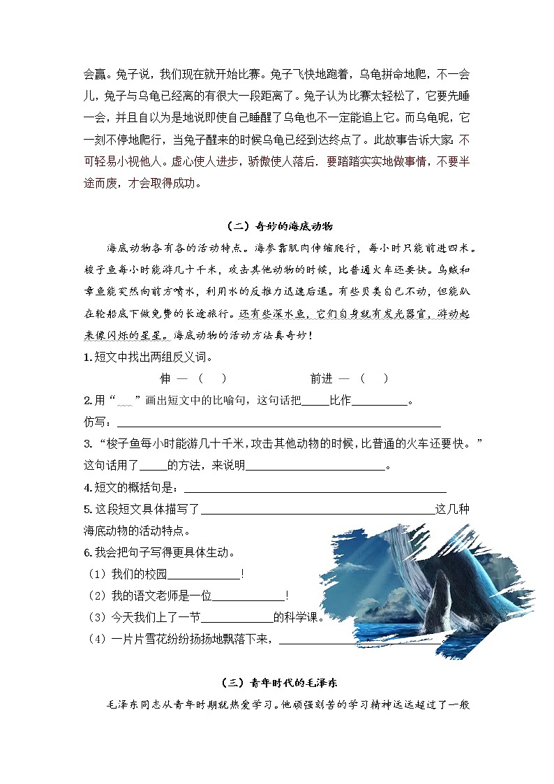 专题03 认识先概括再具体段式 学生版（试题）第3页