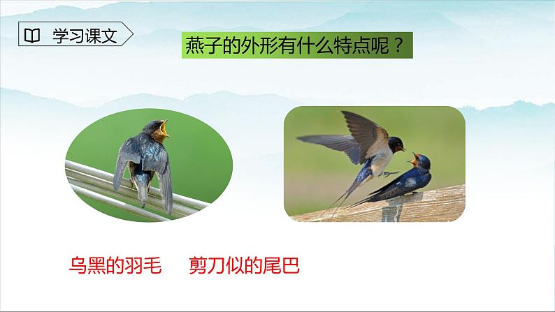 人教版部编版三年级语文下册燕子第二课时PPT课件第3页