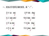 部编版语文四年级上册  字词专项复习（课件PPT）