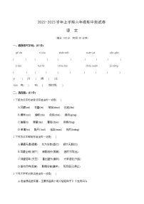 江苏省宿迁市实验小学2022-2023学年六年级上学期期中考试语文试卷